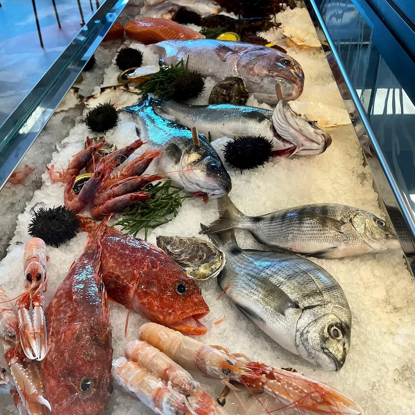 Banco di Costantino Crudo Re con orate, scorfano, scampi, gamberi rossi, ricci e ostriche su ghiaccio tritato